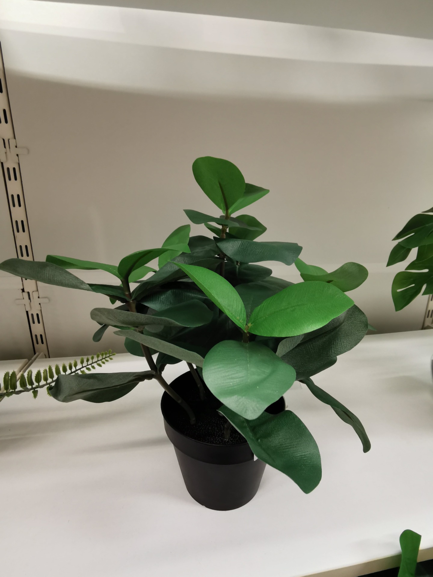 Kunstige planter og blomster fra IKEA